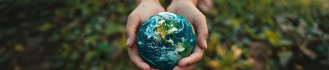 Hands holding a globe